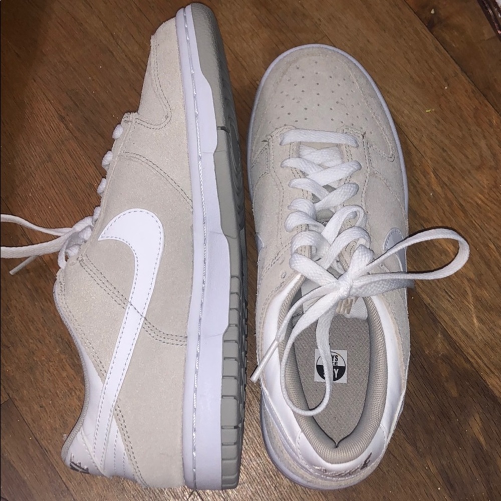 Brand new Nike SB sneakers